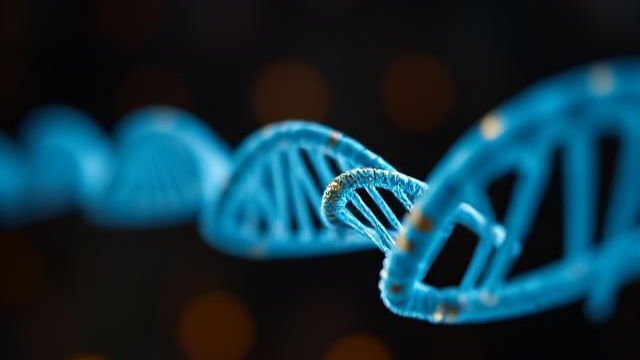 Making DNA is difficult if you lack this in your body